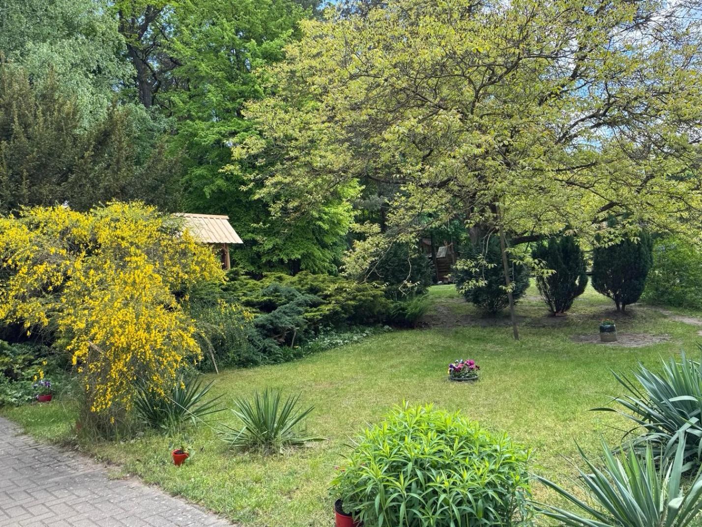 Agroturystyka Staroscin Rzepin Bagian luar foto